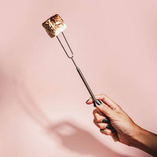 Load image into Gallery viewer, Campfire Skewers