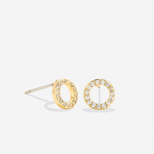 Load image into Gallery viewer, Family Stud Earrings